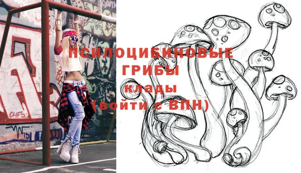 прущие грибы Абдулино