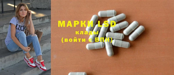 индика Абинск