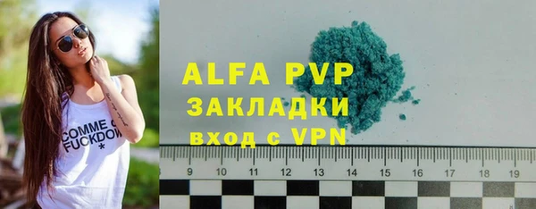 индика Абинск