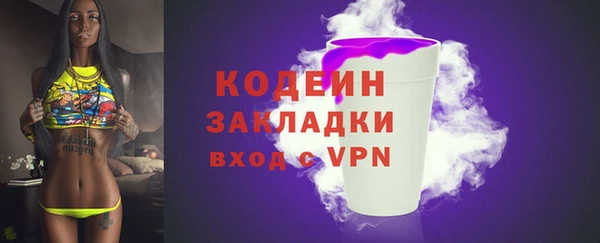 индика Абинск