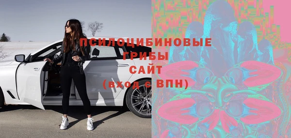 прущие грибы Абдулино