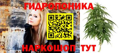 прущие грибы Моздок