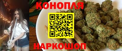 прущие грибы Моздок