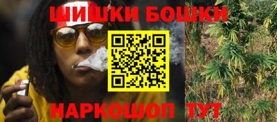 прущие грибы Моздок