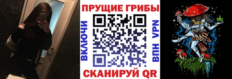 Галлюциногенные грибы Magic Shrooms  Тюмень 